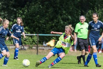 Bild 233 - B-Juniorinnen VfL Pinneberg - HSV : Ergebnis: 1:4